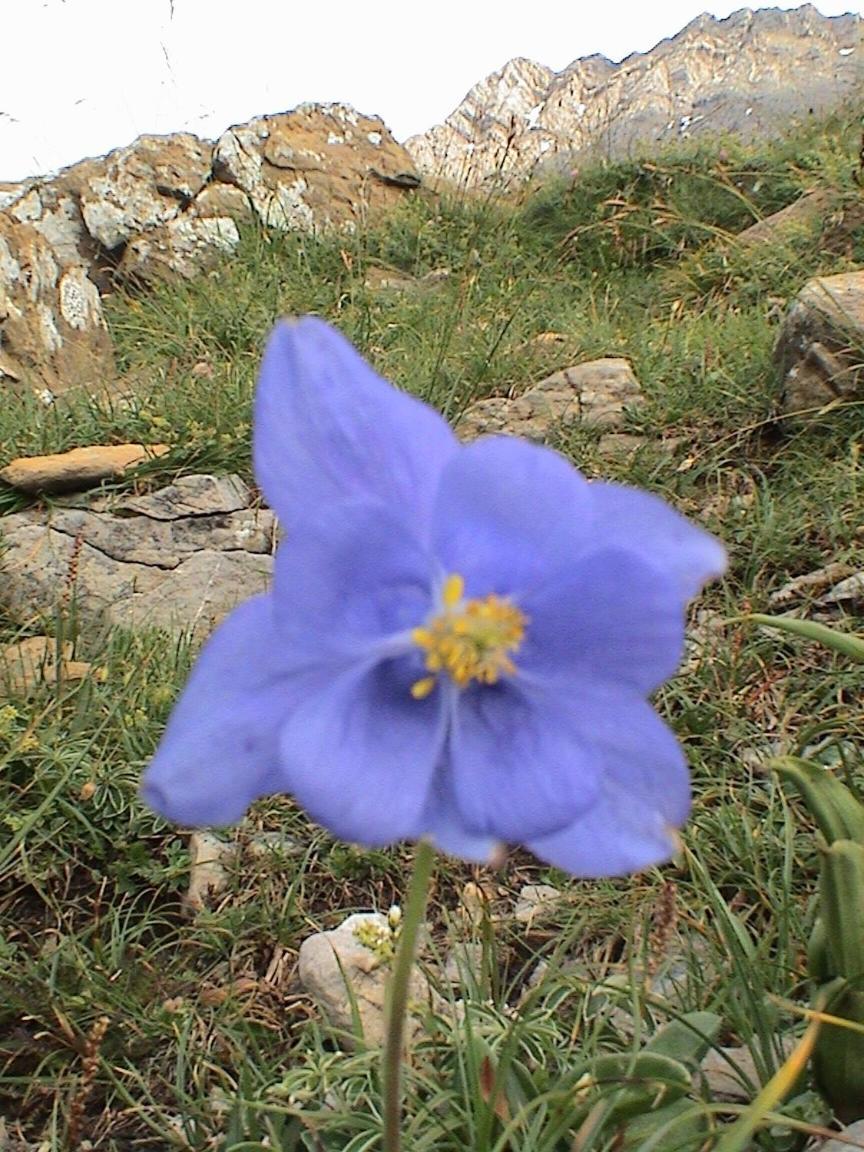 Pinarillos Sarvise Bagian luar foto